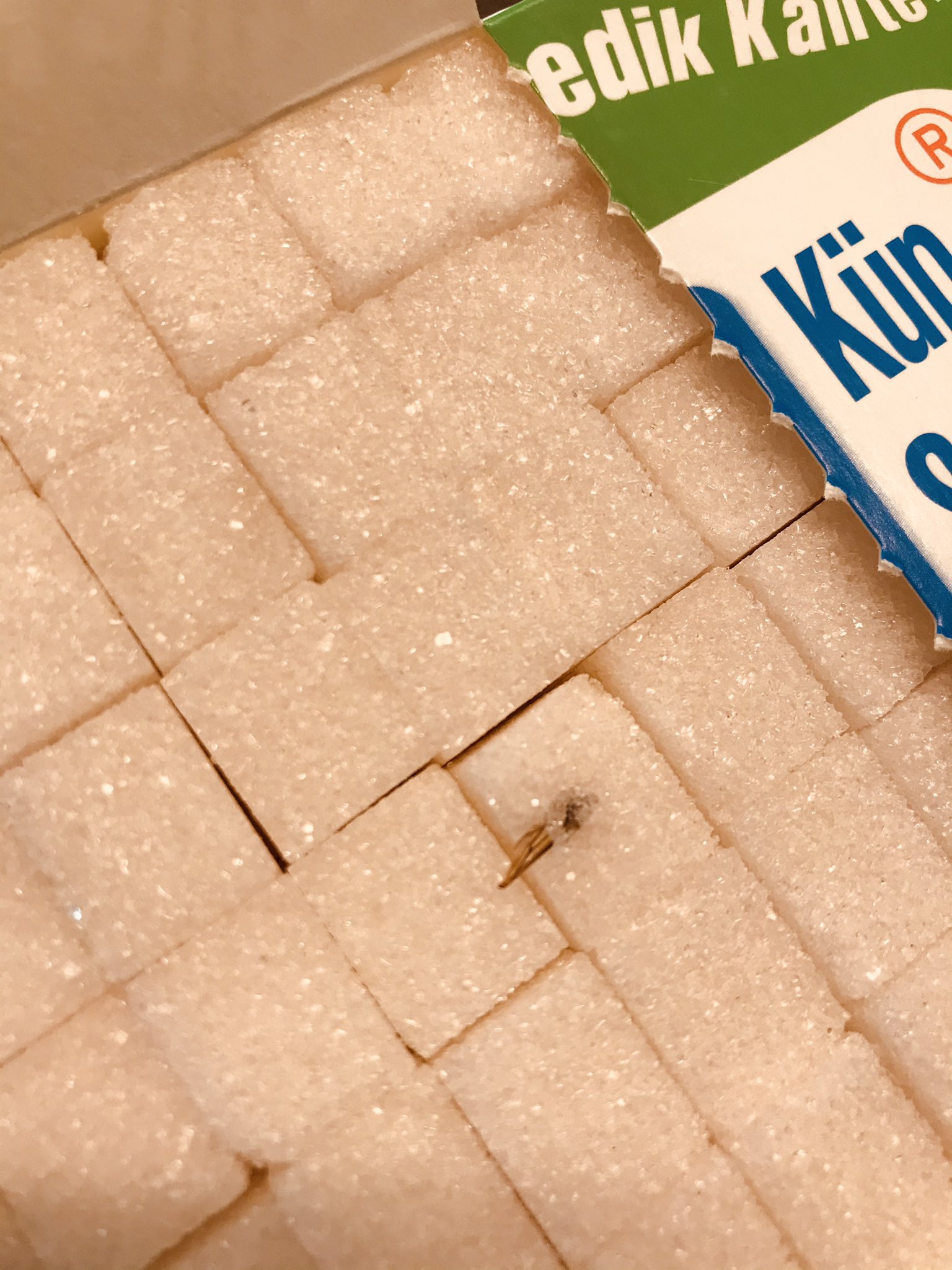 balküpü şekerde sinek kanadı Fotoğraf ile Şikayet | Fotoğraf ile İfşa Et - 2 