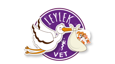 Leylek Vet (Vet216 Veteriner Kliniği)